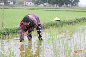 Ra Giêng, nông dân xuống đồng