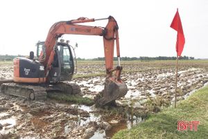 HTX đầu tiên ở Hà Tĩnh thuê gần 28 ha đất sản xuất cánh đồng mẫu lớn