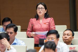 Đại biểu Quốc hội Hà Tĩnh thảo luận về dự án Luật Phòng, chống bạo lực gia đình (sửa đổi)