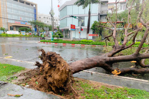 Hai người chết, 5 người bị thương ở Quảng Ngãi do bão số 9