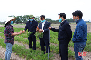 Lãnh đạo các địa phương Hà Tĩnh kiểm tra, thăm đồng đầu năm