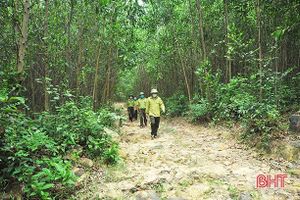 Hương Khê chi hơn 2,4 tỷ đồng bảo vệ và phòng cháy, chữa cháy rừng