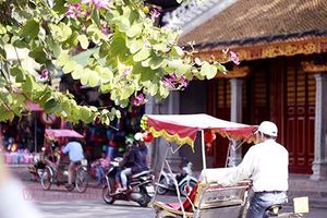 Bắc Trung bộ ngày nắng, chiều và tối có mưa rào