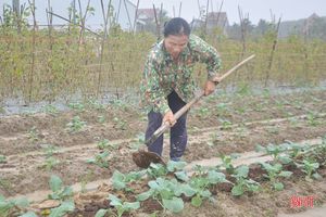 Các địa phương ở Hà Tĩnh đẩy nhanh tiến độ sản xuất vụ đông