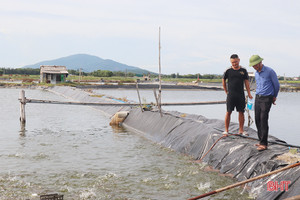 Triển vọng từ mô hình nuôi cá chim trắng vây vàng