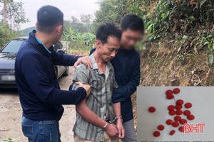 Hà Tĩnh: Bắt đối tượng tàng trữ ma túy, phát hiện súng, dao trong nhà