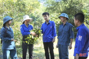 Cán bộ quân sự xã “đa năng” ở Hà Tĩnh