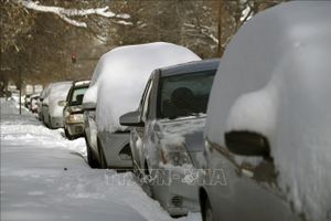 1.000 người bị mắc kẹt tại bang Arizona do bão tuyết