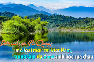 Thăm Vườn di sản ASEAN ở Hà Tĩnh