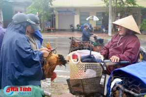 Ngăn chặn cúm gia cầm bùng phát, lây nhiễm sang người