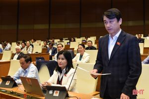 Đại biểu Quốc hội Hà Tĩnh: Cần cải thiện thứ hạng, nâng cao giá trị hộ chiếu Việt Nam