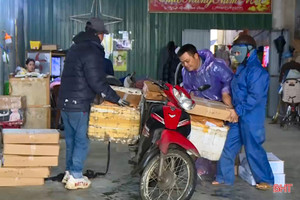 Cơ sở kinh doanh hải sản hối hả gom hàng phục vụ nhu cầu tết