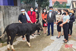 Hỗ trợ sinh kế cho phụ nữ nghèo Hà Tĩnh từ nguồn tài trợ cuộc thi “Duyên dáng áo dài qua ảnh”