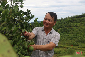 Chi hội trưởng nông dân làm kinh tế giỏi, tâm huyết với công tác hội