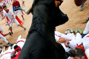 Lễ hội chạy đua với bò tót ở Tây Ban Nha lọt top ảnh tuần