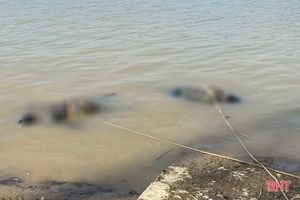 Tìm tung tích 2 thi thể trôi dạt trên sông Lam đoạn qua Hà Tĩnh