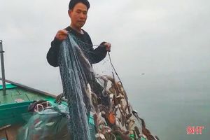 Chuyến đi biển hơn 3 giờ, thu 12 triệu đồng của ngư dân Hà Tĩnh