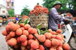 Những loại quả Việt xuất ngoại có giá "đắt như vàng"