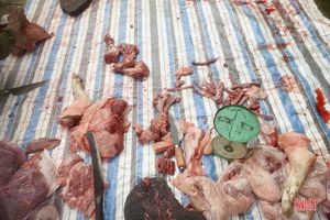 Nhiều nguy cơ mất an toàn vệ sinh thực phẩm khi giết mổ gia súc tại nhà