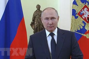 Tổng thống Putin: Nga sẵn sàng tìm kiếm giải pháp phù hợp với Ukraine