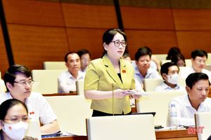 Đoàn ĐBQH tỉnh Hà Tĩnh tham gia xây dựng Luật Phòng, chống bạo lực gia đình