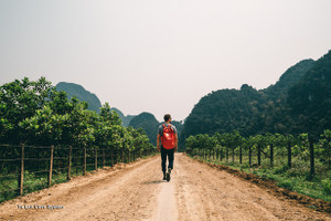 Choáng ngợp cảnh đẹp Việt Nam qua lăng kính đoàn làm phim Mỹ