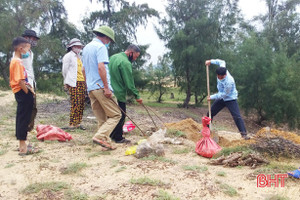 Cơ quan chuyên môn Sở NN&PTNT Hà Tĩnh khuyến nghị tăng cường diệt chuột bảo vệ sản xuất