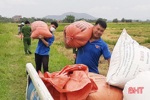 Tuổi trẻ Hà Tĩnh sôi nổi hưởng ứng “Ngày chủ nhật xanh”