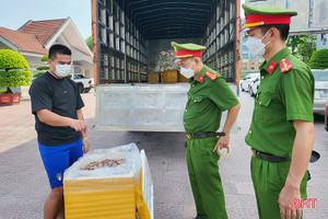 Phát hiện xe tải chở 300kg tôm bốc mùi hôi thối