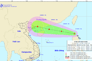 Chủ động ứng phó với diễn biến của áp thấp nhiệt đới gần biển Đông