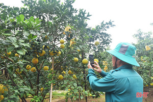 Công dân số - chủ nhân thời đại số