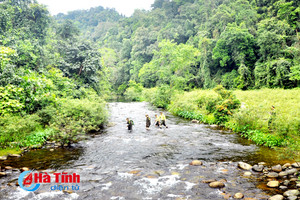 Tiếng gọi đại ngàn