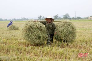 Nông dân Hà Tĩnh thu rơm, dọn ruộng, khởi động sớm vụ hè thu