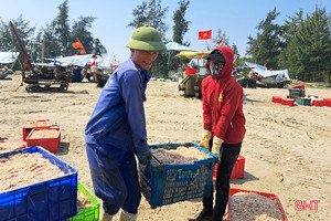 Ngư dân vùng biển phía Bắc Hà Tĩnh “trúng đậm” ruốc biển đầu mùa