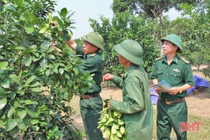 Nhờ BĐBP Hà Tĩnh, người dân vùng biên “đoạn tuyệt” vào rừng săn bắt, lấy gỗ