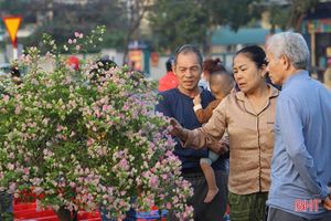 Đa dạng các loại hoa, cây cảnh phục vụ thị trường tết ở Hà Tĩnh