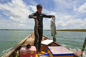 Săn cá dưới đáy sông ở Hà Tĩnh