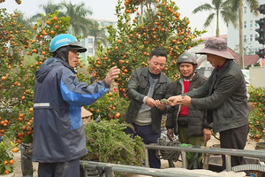 Lắng đọng khoảnh khắc chiều cuối năm ở Hà Tĩnh