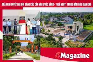 Đưa nghị quyết đại hội Đảng các cấp vào cuộc sống - “quả ngọt” trong năm đầu gian khó (bài 1): Dồn sức khắc phục hậu quả lũ lụt, chăm lo cuộc sống Nhân dân