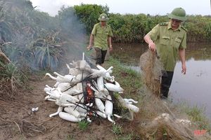 Ngăn chặn vấn nạn săn bắt “chim trời”: Cần đồng bộ và quyết liệt hơn nữa!