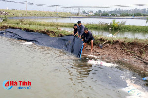 Trắng tay sau bão, người NTTS Hà Tĩnh tất tả khôi phục sản xuất