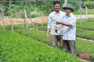 Hà Tĩnh “cháy” giống cây trồng đầu xuân