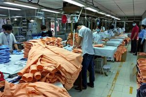 Gần 600 DN sản xuất Nhật có vốn trên 92.000 USD muốn phát triển tại Việt Nam