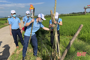 Tuổi trẻ Agribank Hà Tĩnh II trồng cây “vì tương lai xanh”