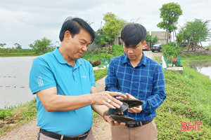 “Mục sở thị” mô hình nuôi trai lấy ngọc ở Hà Tĩnh