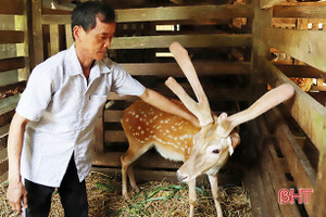 OCOP - “làn gió mới” trong nông thôn mới