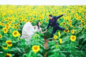 6 cánh đồng hoa đẹp như tranh ở Việt Nam