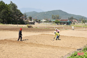 Phấn đấu hoàn thành gieo trỉa lạc xuân trong tháng 2