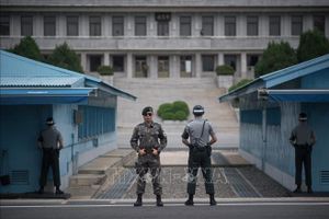 Hàn Quốc thành lập hội đồng biến DMZ thành khu du lịch hòa bình