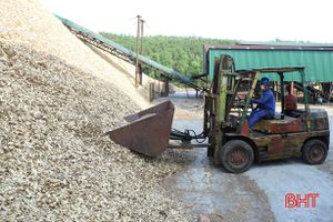 Các doanh nghiệp xuất khẩu dăm gỗ ở Hà Tĩnh nộp ngân sách 9,7 tỷ đồng trong quý I